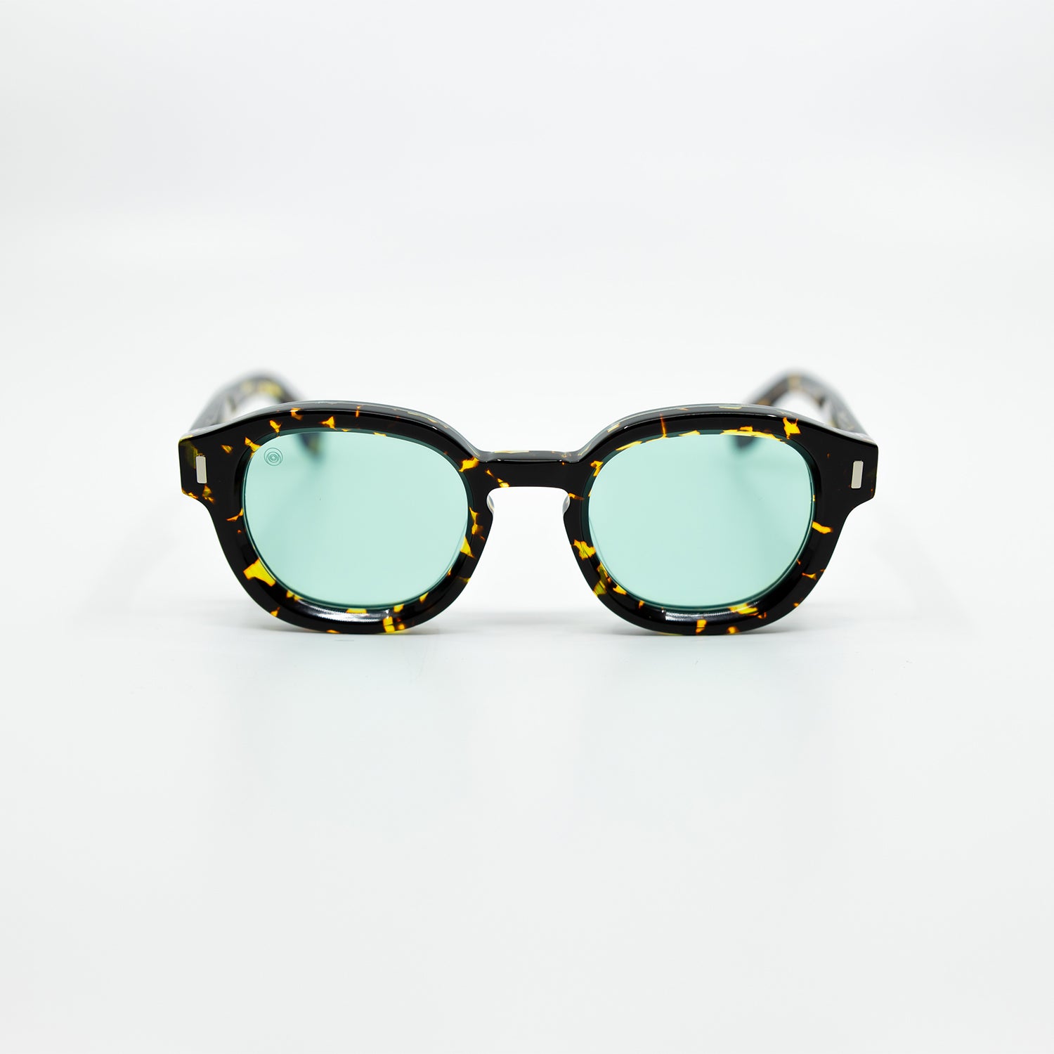 Tom Sunglasses with Tortoise Frame & Aqua Lens