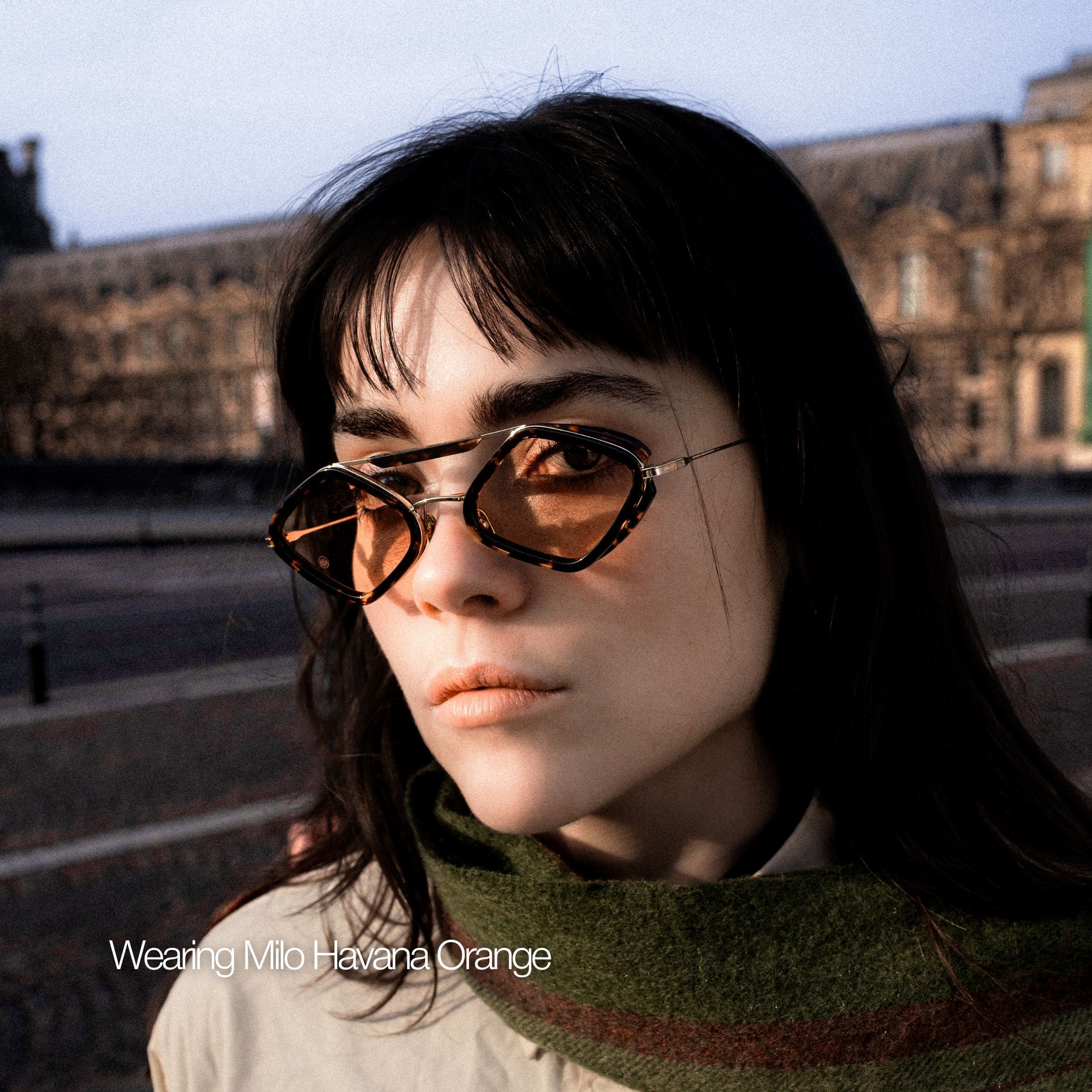 Milo Sunglasses with Havana Frame & Light Blue Lens
