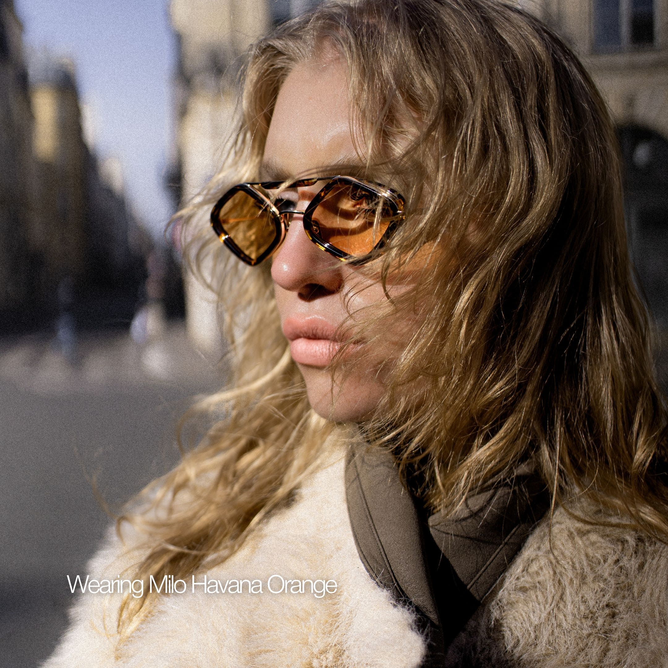 Milo Sunglasses with Havana Frame & Light Blue Lens