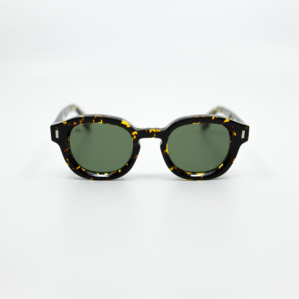 TomTortoiseGreen_1_grande.jpg?